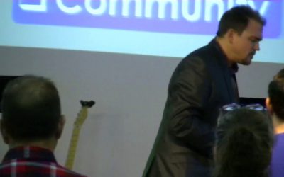 Sunday Afternoon November 24, 2019