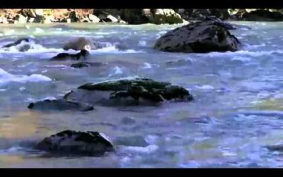 12 13 2015 10am Worship RHLC Band 20151213 100622 678